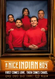 A Nice Indian Boy (2025) ดูหนังฟรีออนไลน์
